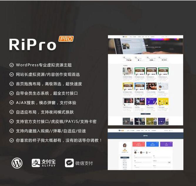 图片[1]-最新WP+RiPro主题PJ版 功能强大-RJCK软件仓库-国内外原版软件&素材源码下载